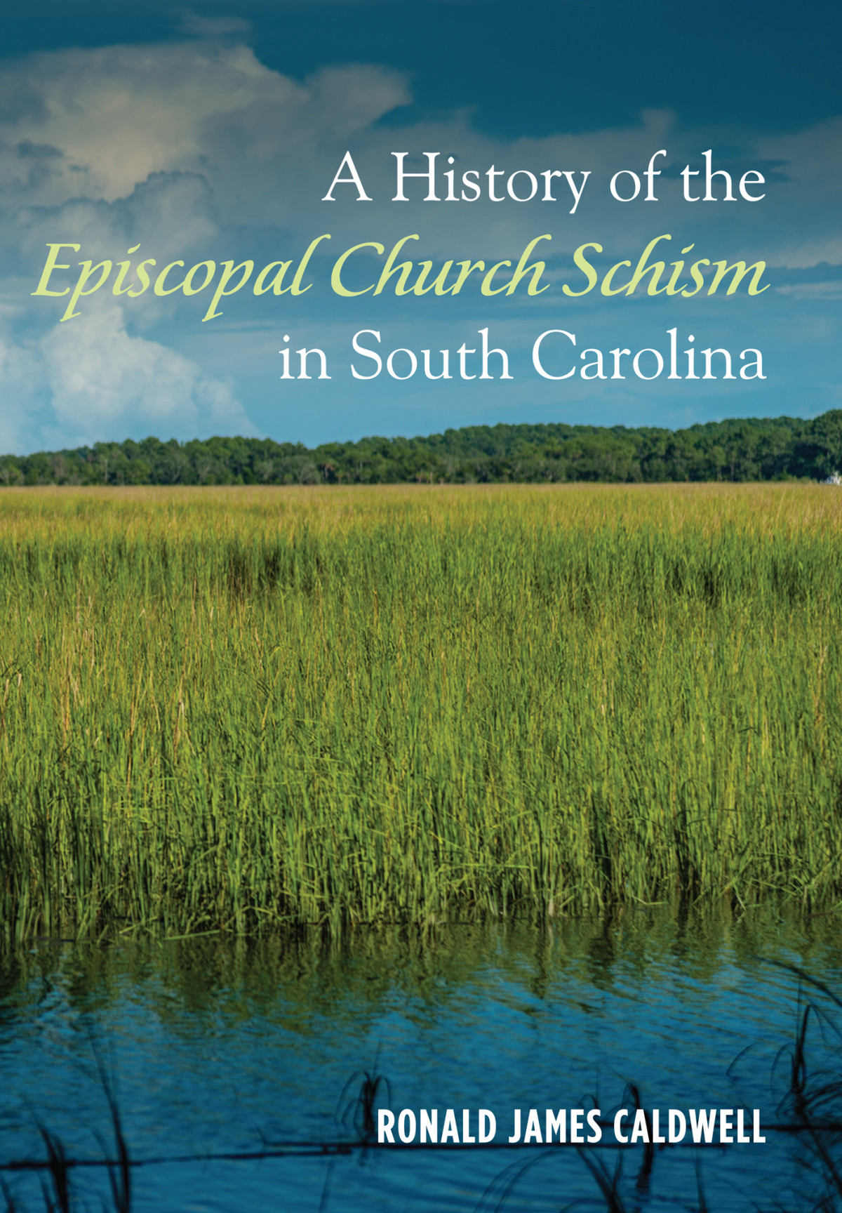 A History Of The Episcopal Church Schism In South Carolina Ronald James Caldwell