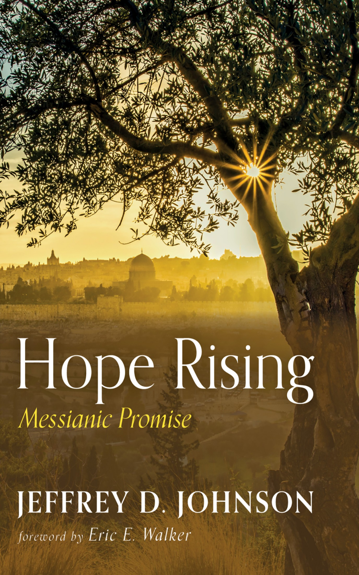 Hope Rising Jeffrey D Johnson