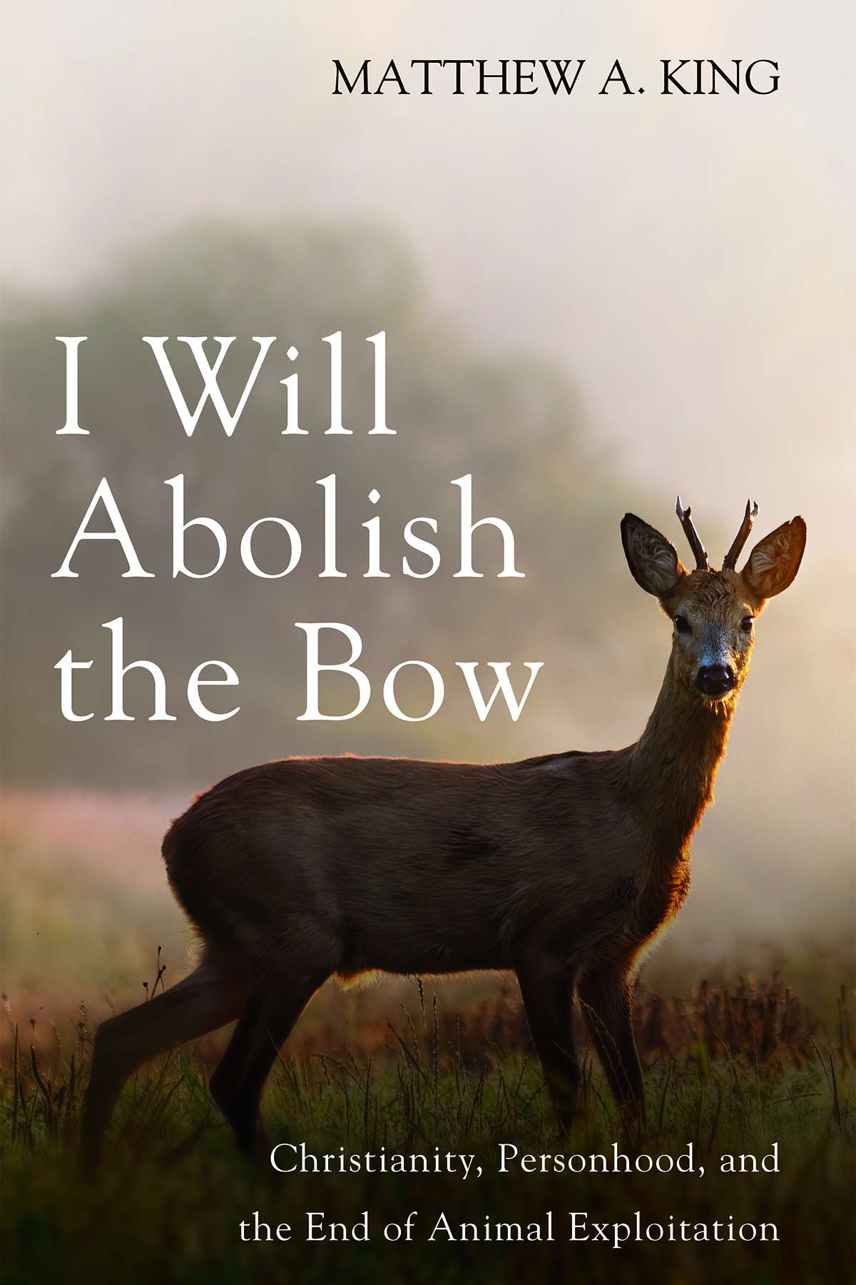 I Will Abolish The Bow Matthew A King