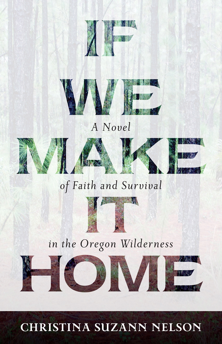 If We Make It Home Christina Suzann Nelson