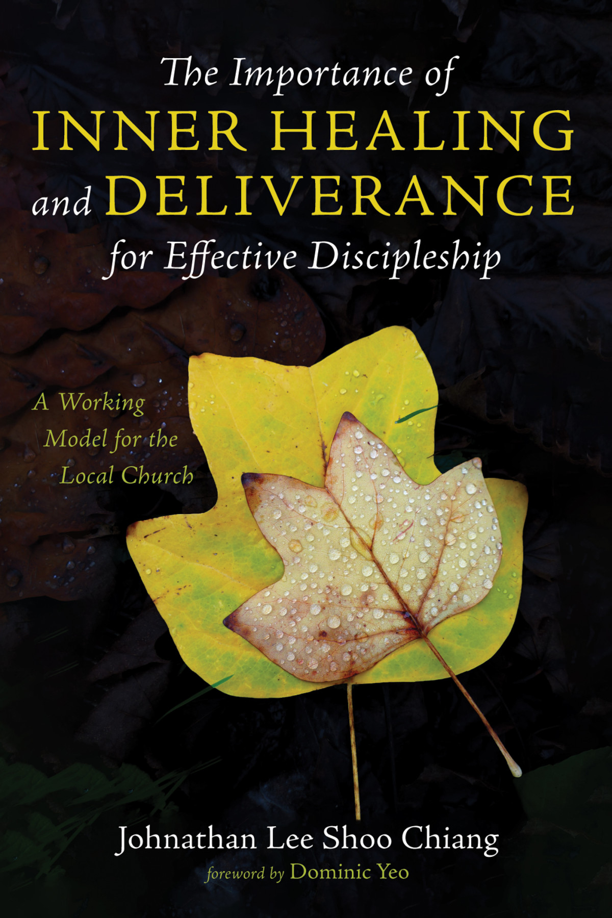 The Importance Of Inner Healing And Deliverance For Effective Discipleship Johnathan Lee Shoo Chiang