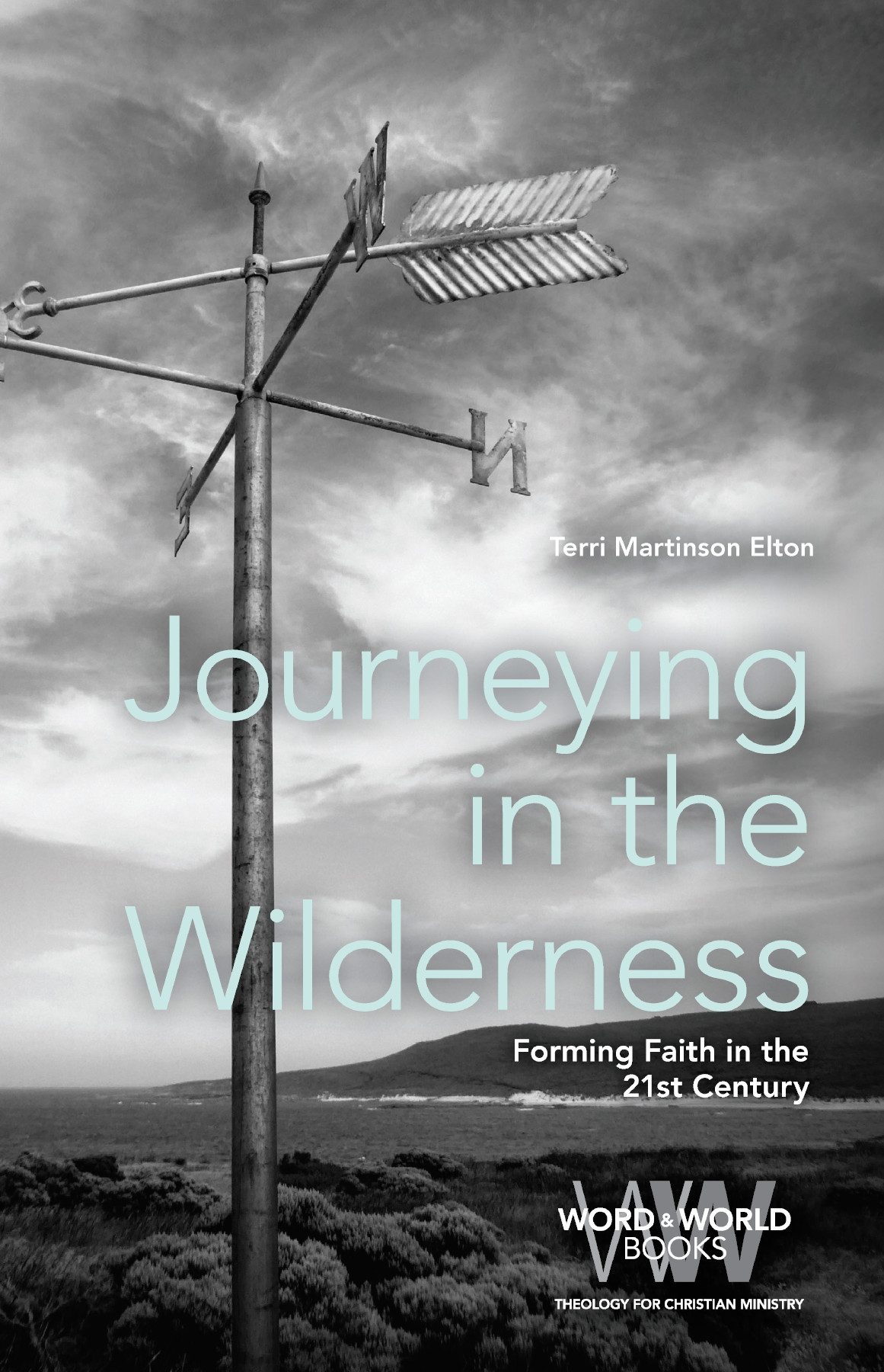 Journeying In The Wilderness Terri Martinson Elton