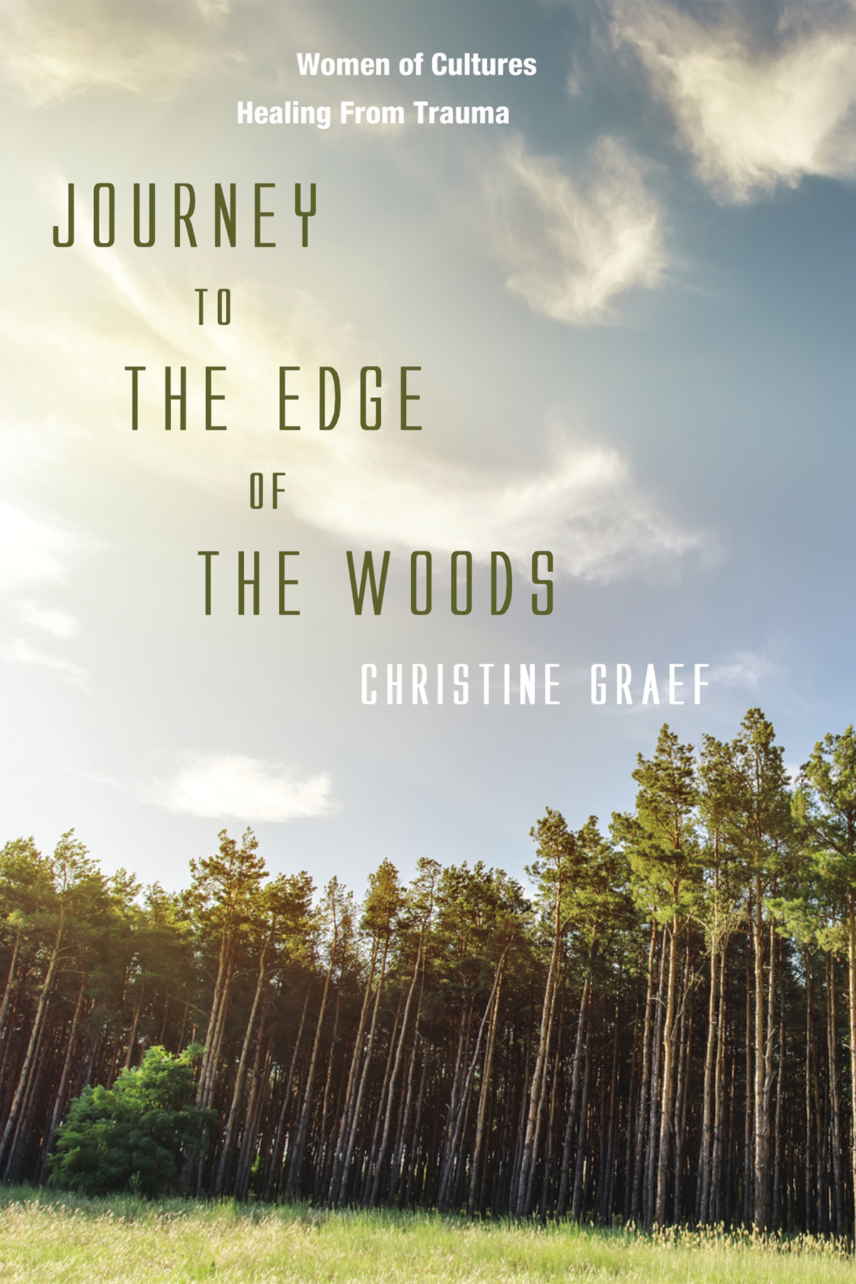 Journey To The Edge Of The Woods Christine Graef