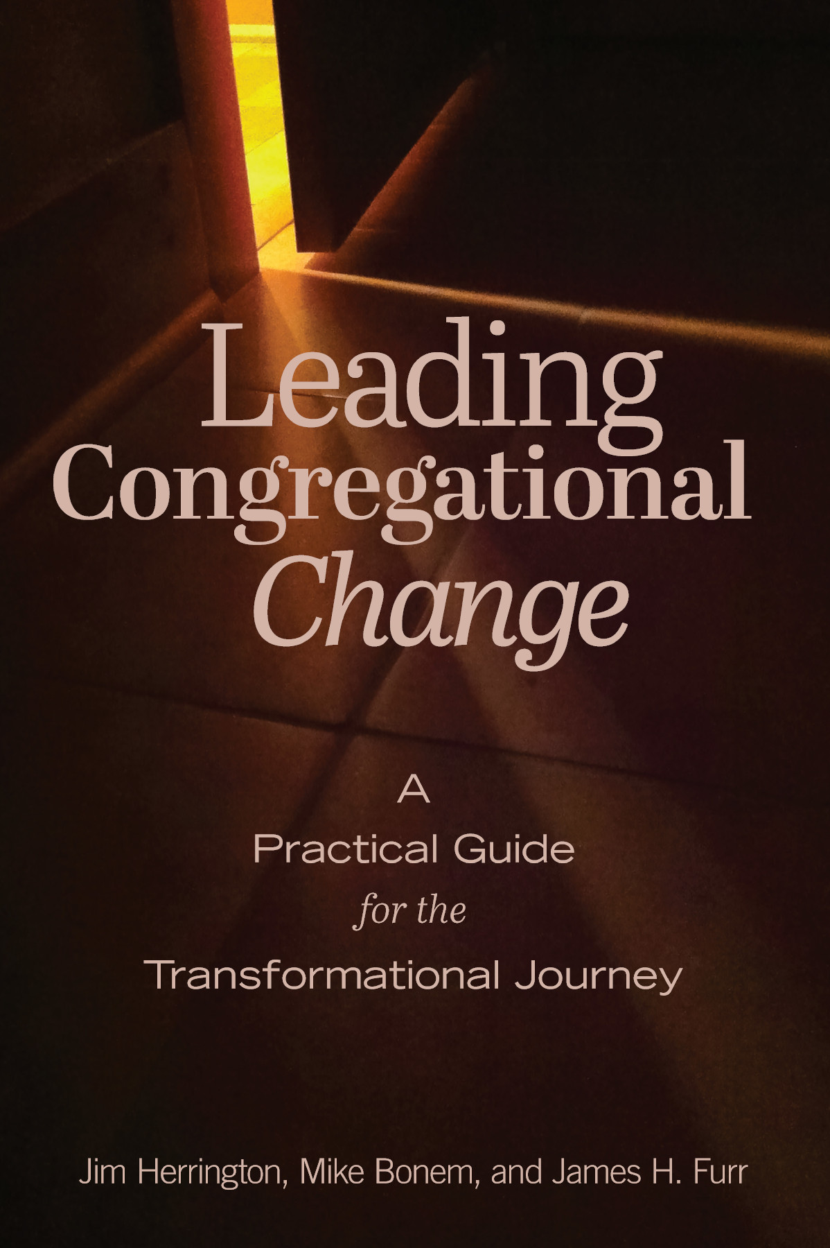 Leading Congregational Change Jim Herringtonmike Bonemjames H Furr