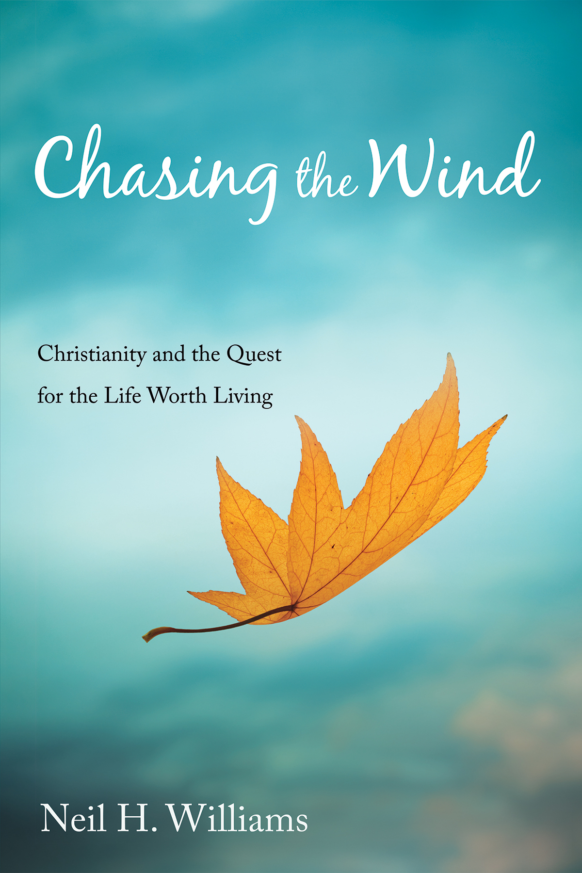 Chasing The Wind Neil H Williams