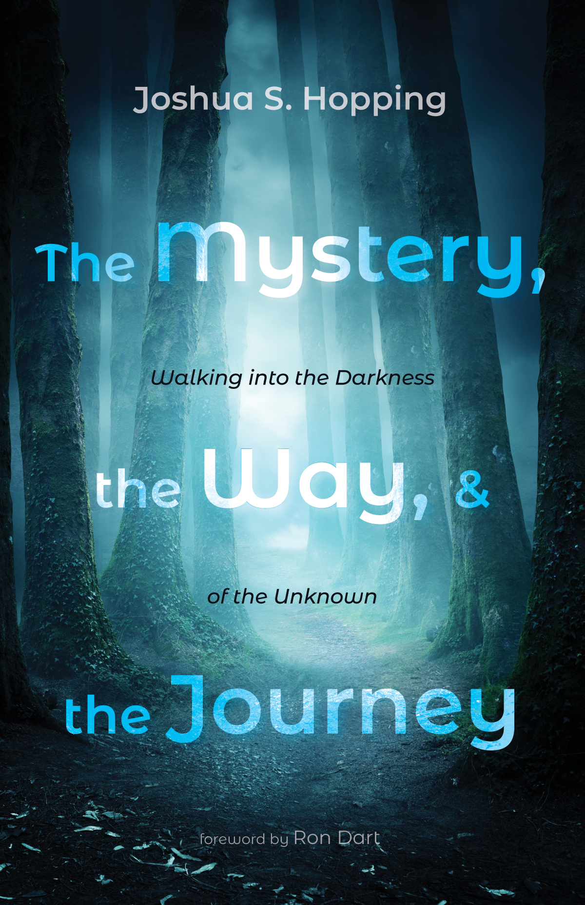 The Mystery The Way And The Journey Joshua S Hopping
