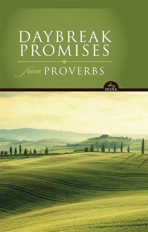 Niv Daybreak Promises From Proverbs Lawrence O Richardsdavid Carder