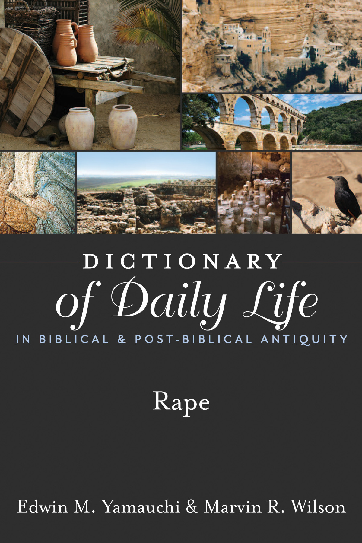 Dictionary Of Daily Life In Biblical Postbiblical Antiquity Rape Edwin M Yamauchimarvin R Wilson