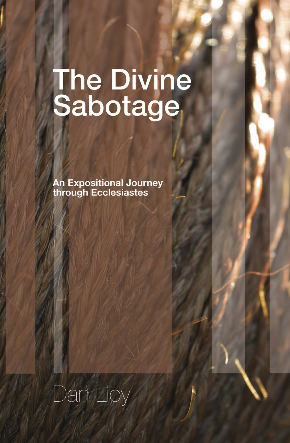 The Divine Sabotage Dan Lioy