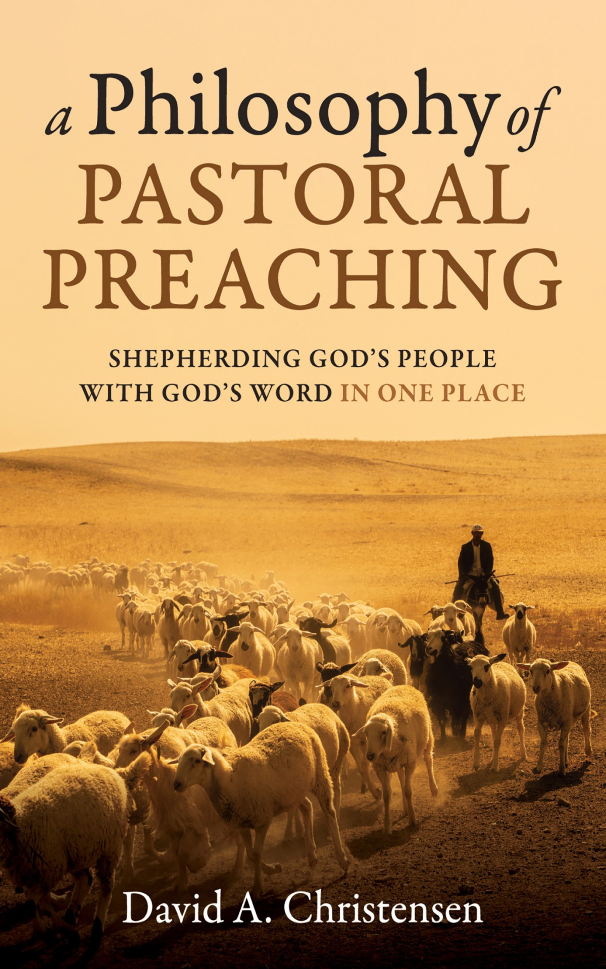 A Philosophy Of Pastoral Preaching David A Christensen