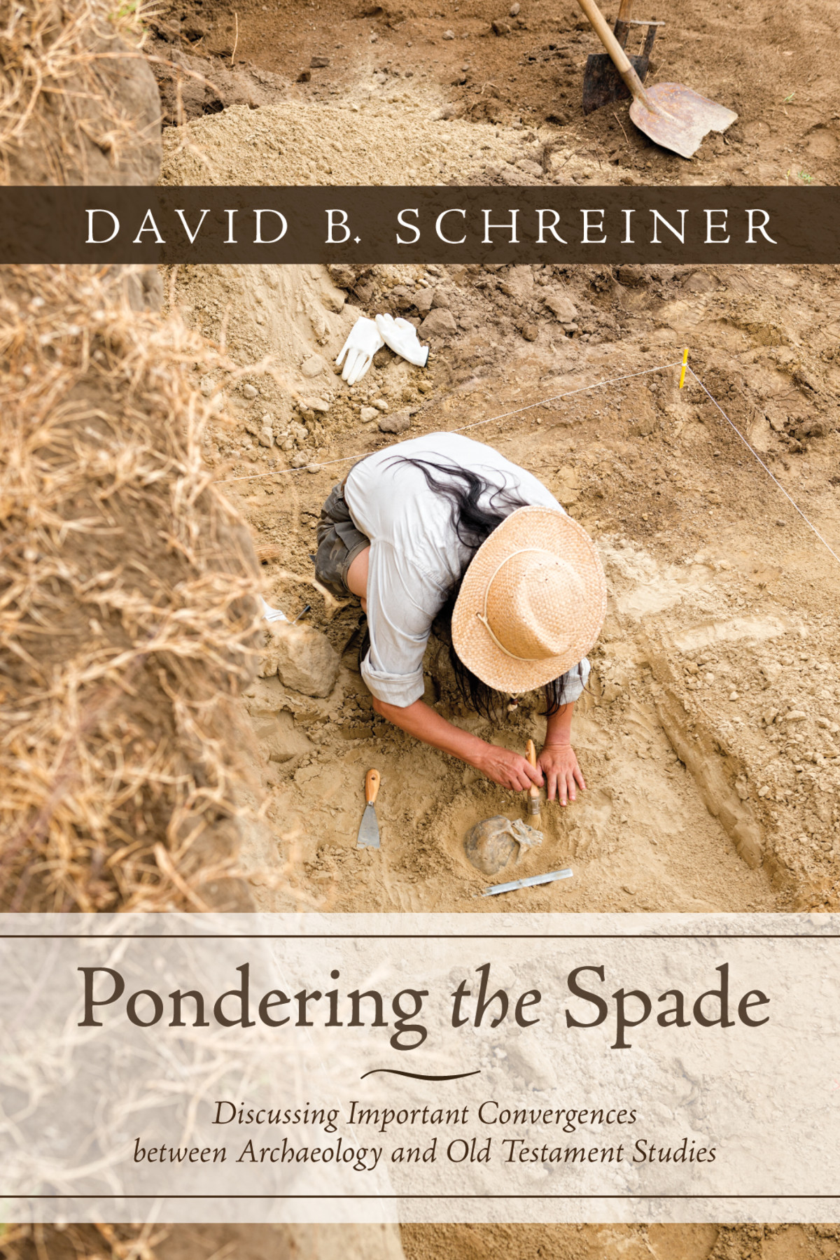 Pondering The Spade David B Schreiner