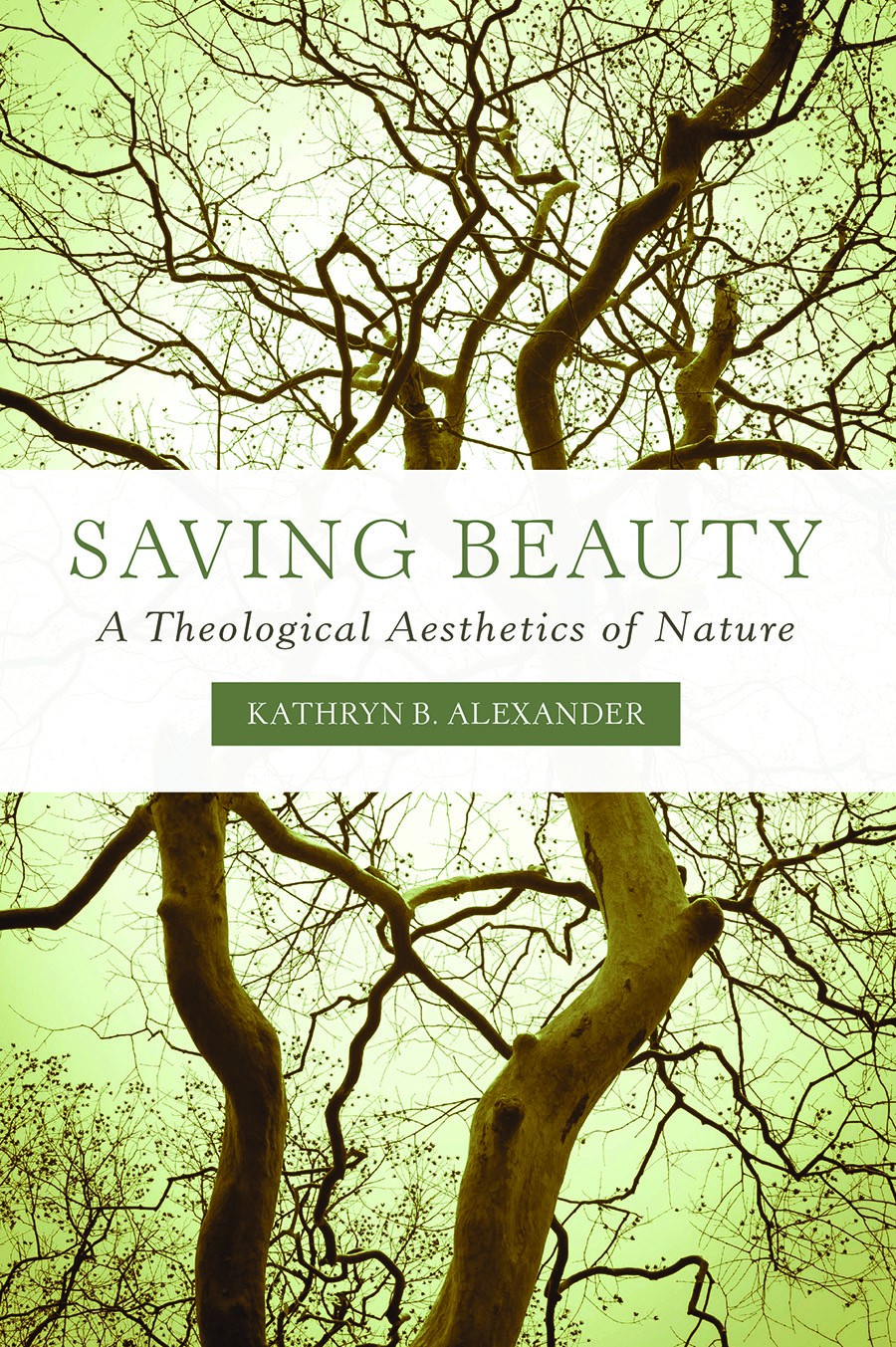 Saving Beauty Alexander Kathryn B