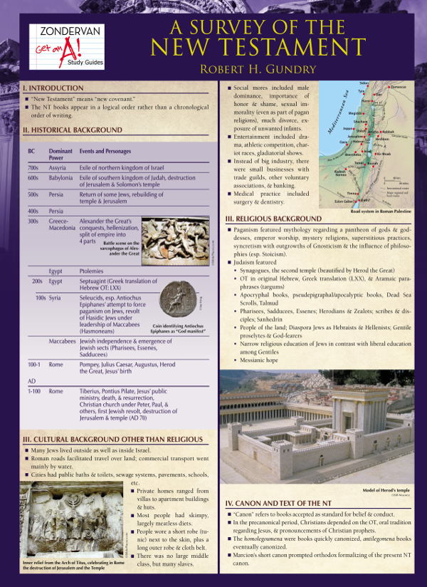 A Survey Of The New Testament Laminated Sheet Robert H Gundry