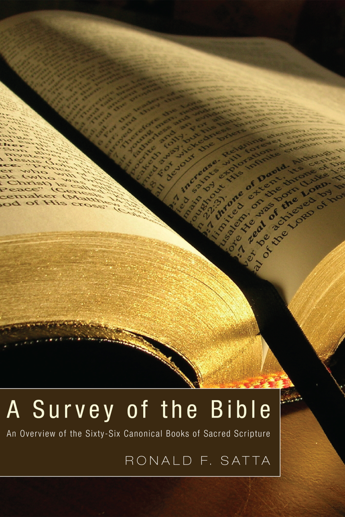 A Survey Of The Bible Ronald F Satta