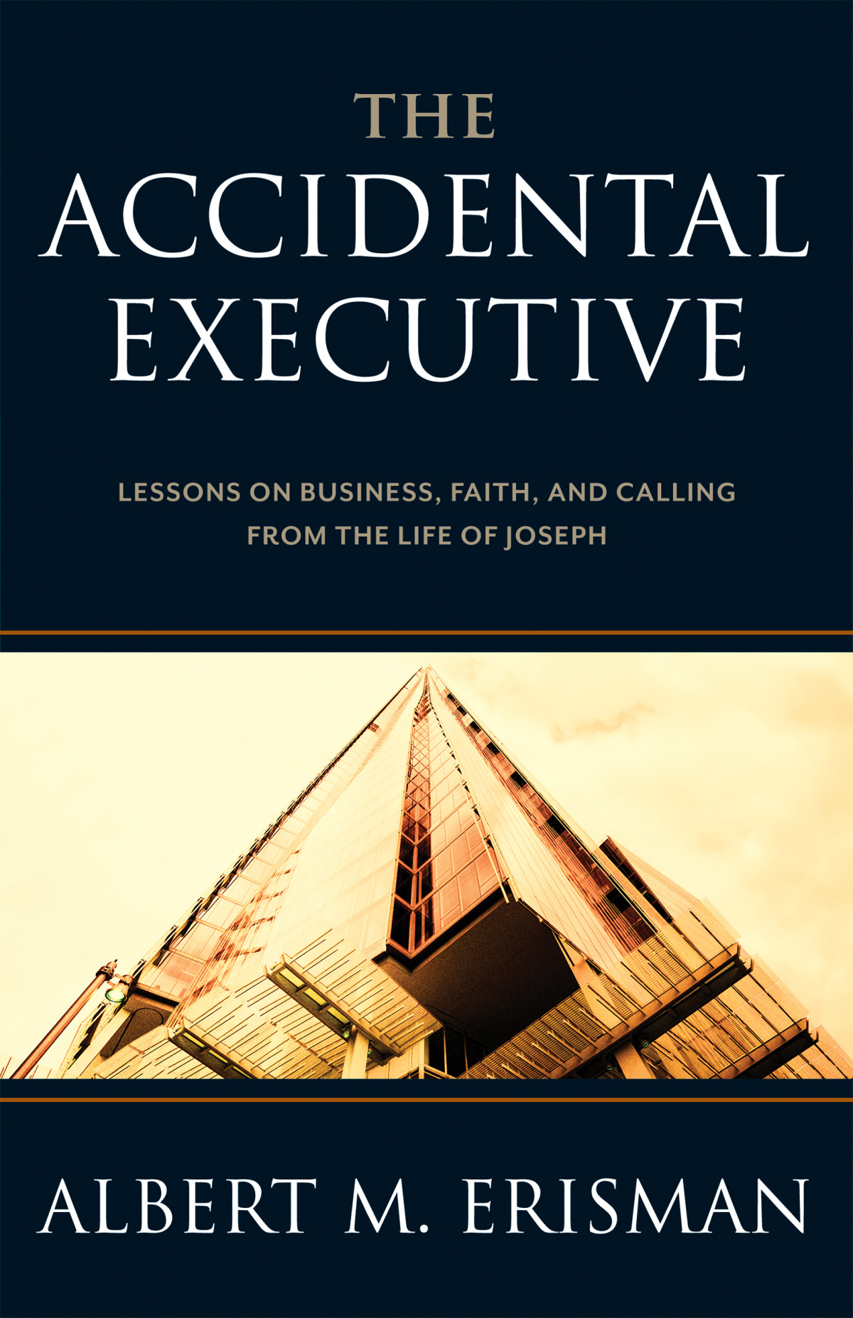 The Accidental Executive Albert M Erisman