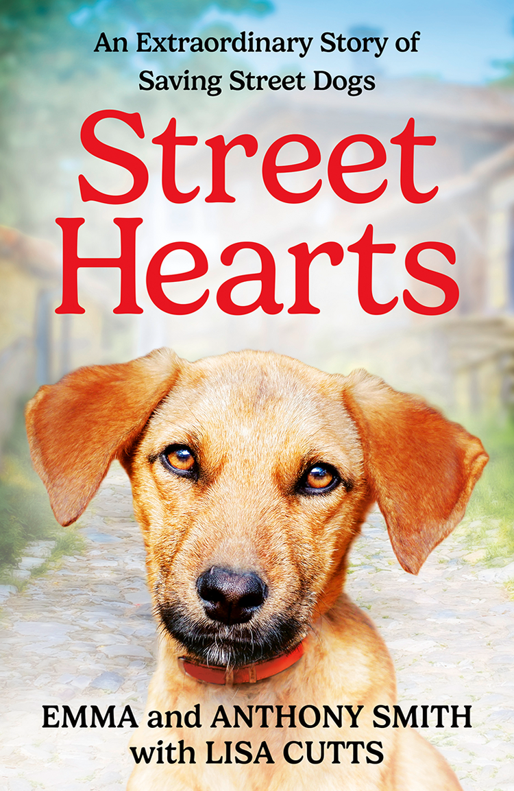 Street Hearts Emma Smith