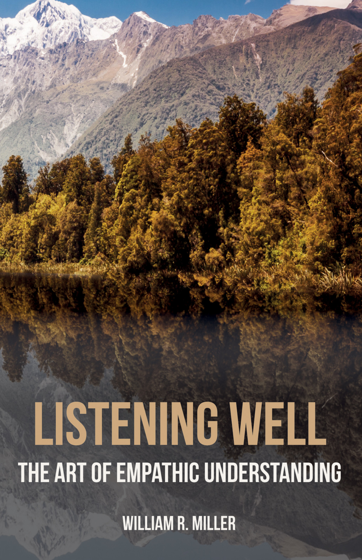 Listening Well William R Miller