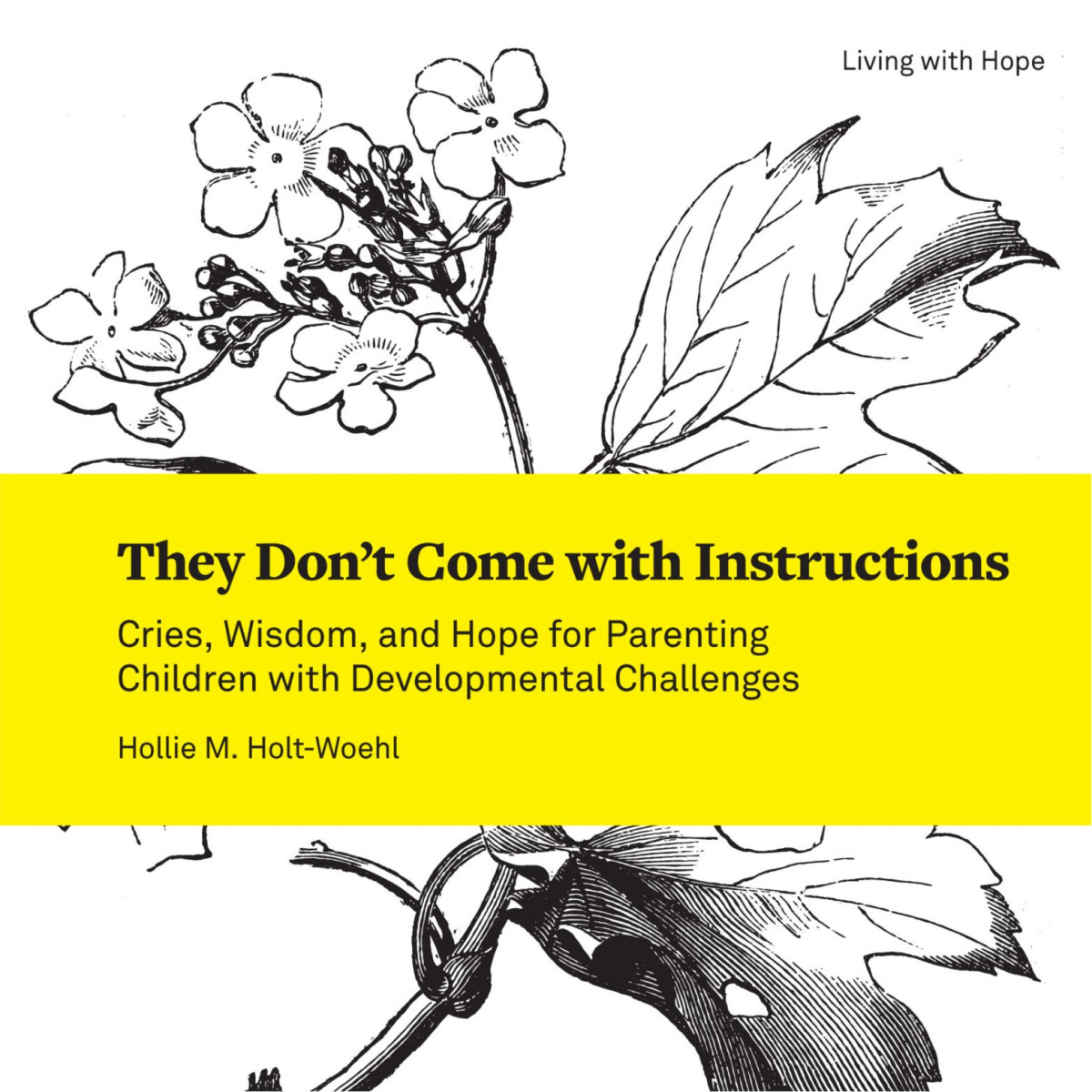 They Dont Come With Instructions Hollie M Holtwoehl