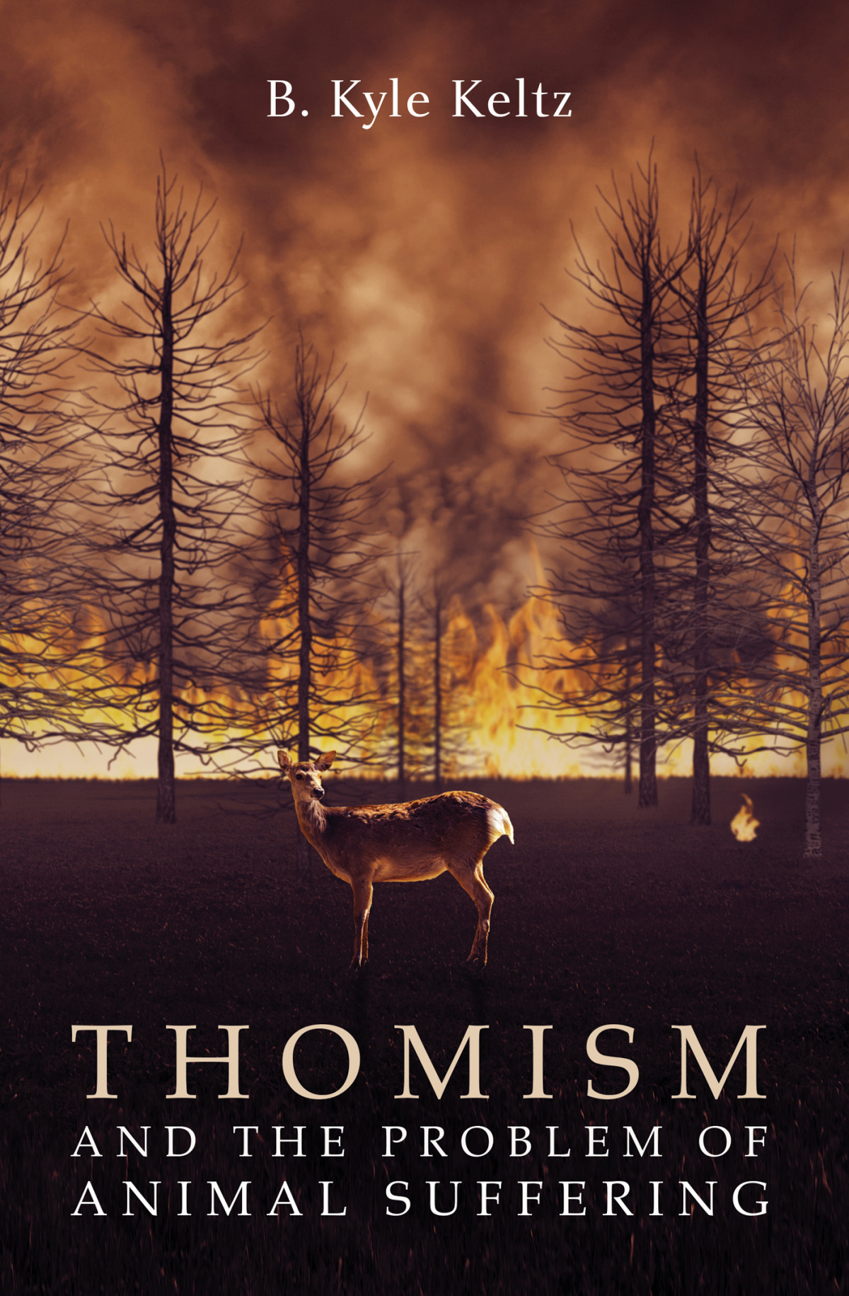 Thomism And The Problem Of Animal Suffering B Kyle Keltz