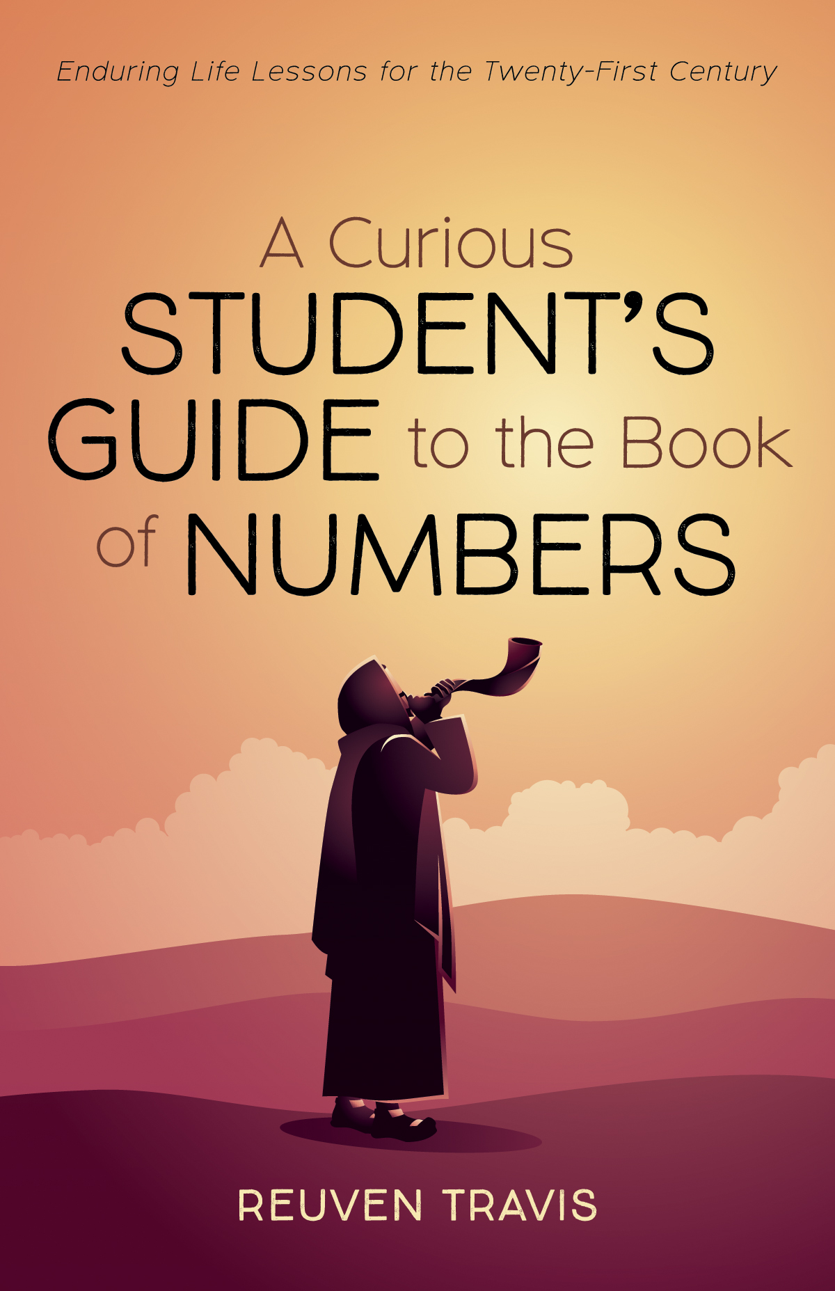 A Curious Students Guide To The Book Of Numbers Reuven Travis