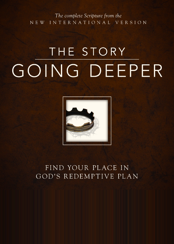 Niv The Story Going Deeper Zondervan