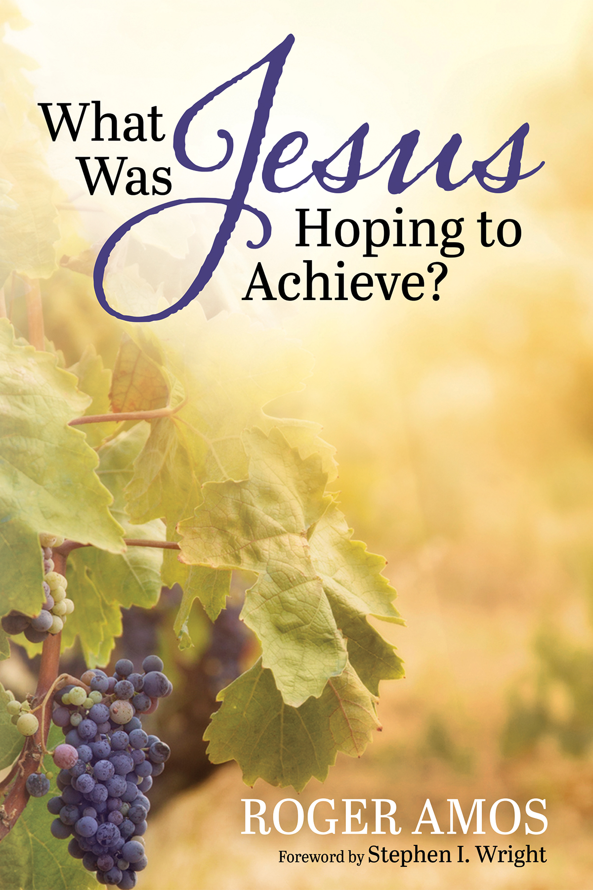 What Was Jesus Hoping To Achieve Roger Amos