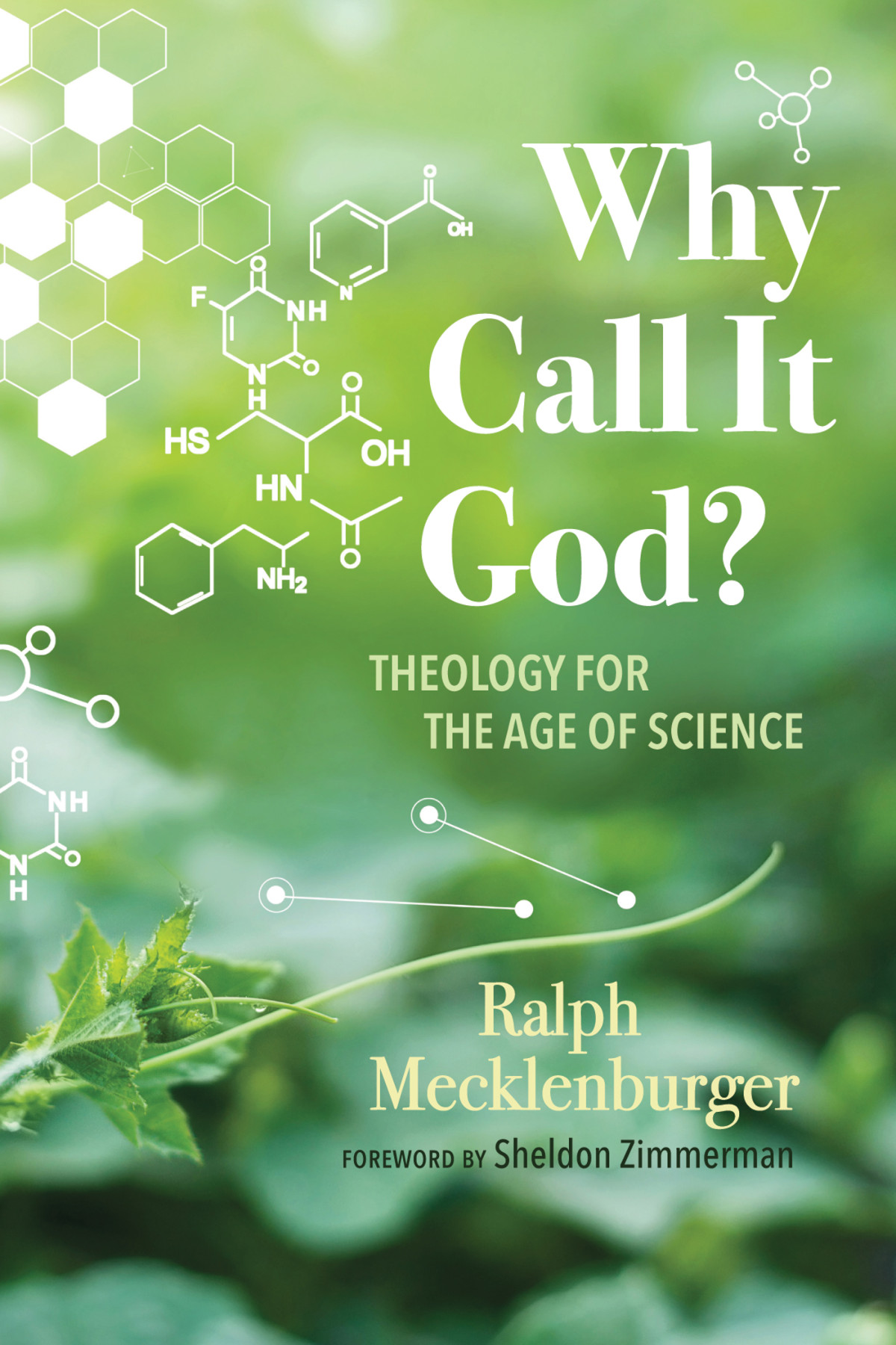 Why Call It God Ralph Mecklenburger