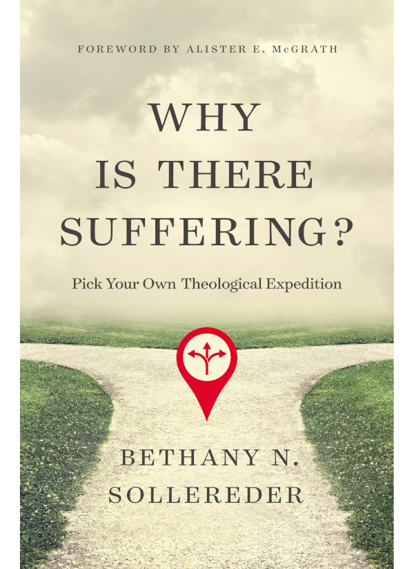 Why Is There Suffering Bethany N Sollereder