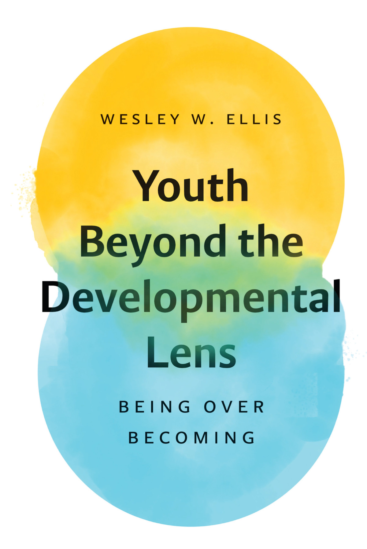 Youth Beyond The Developmental Lens Wesley W Ellis