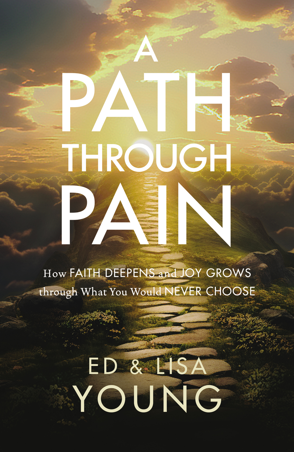 A Path Through Pain Ed Younglisa Young