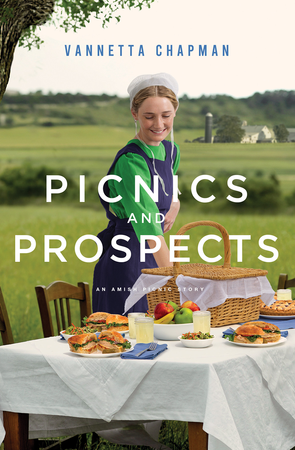 Picnics And Prospects Vannetta Chapman