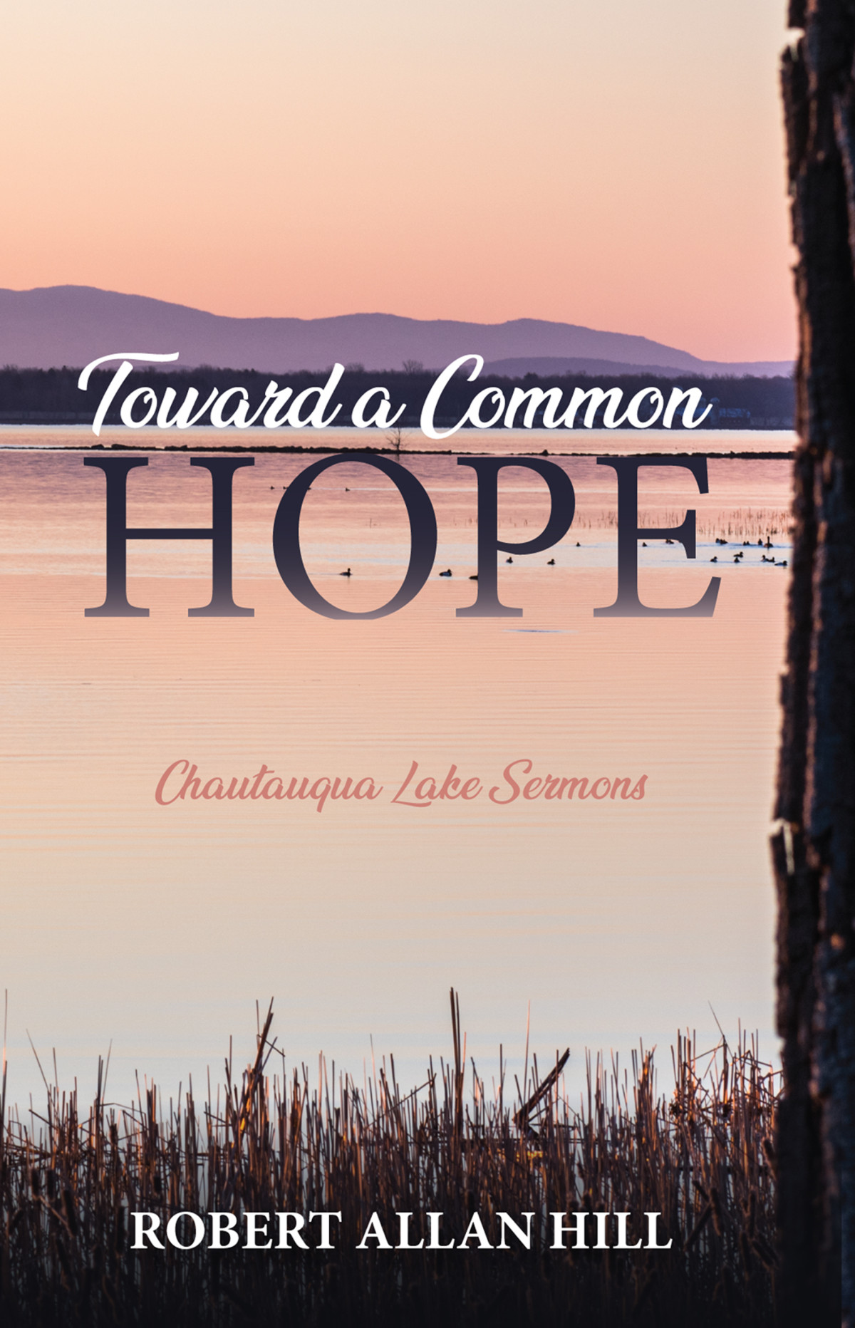 Toward A Common Hope Robert Allan Hill