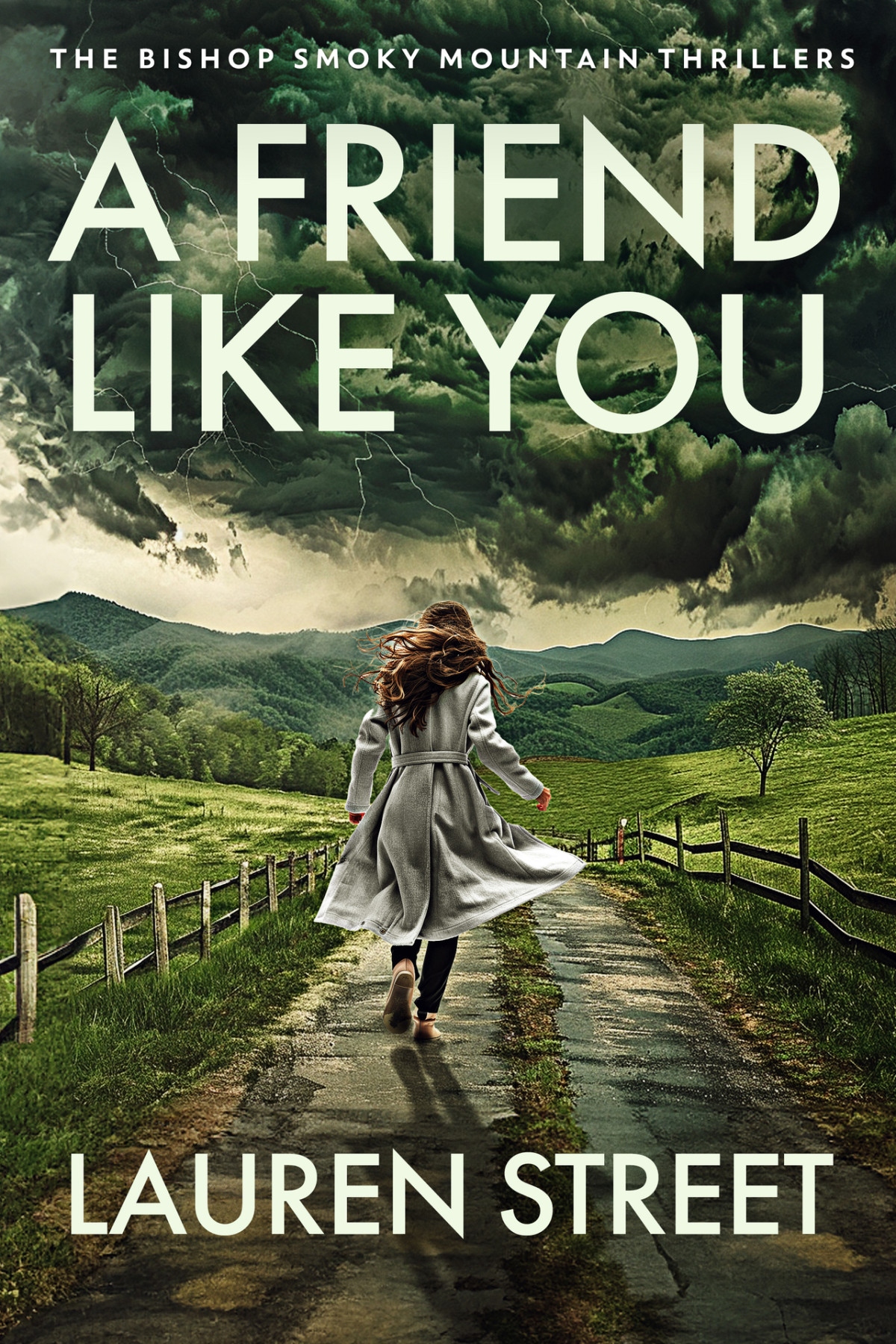 A Friend Like You The Bishop Smoky Mountain Thrillers Book 8 Lauren Street