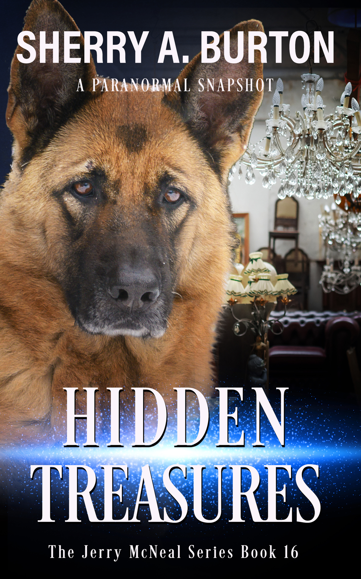 Hidden Treasures Book 16 In The Jerry Mcneal Series A Paranormal Snapshot Sherry A Burton