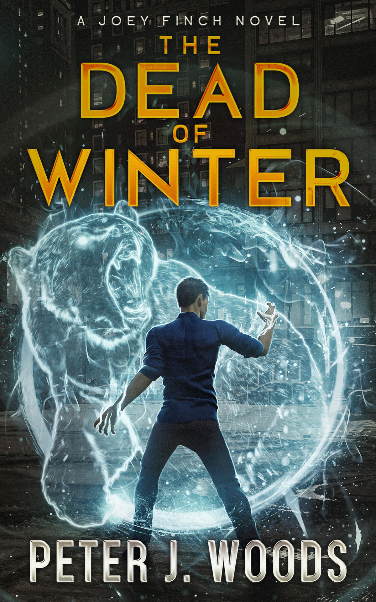 The Dead Of Winter An Urban Fantasy Adventure The Joey Finch Series Book 6 Peter J Woods