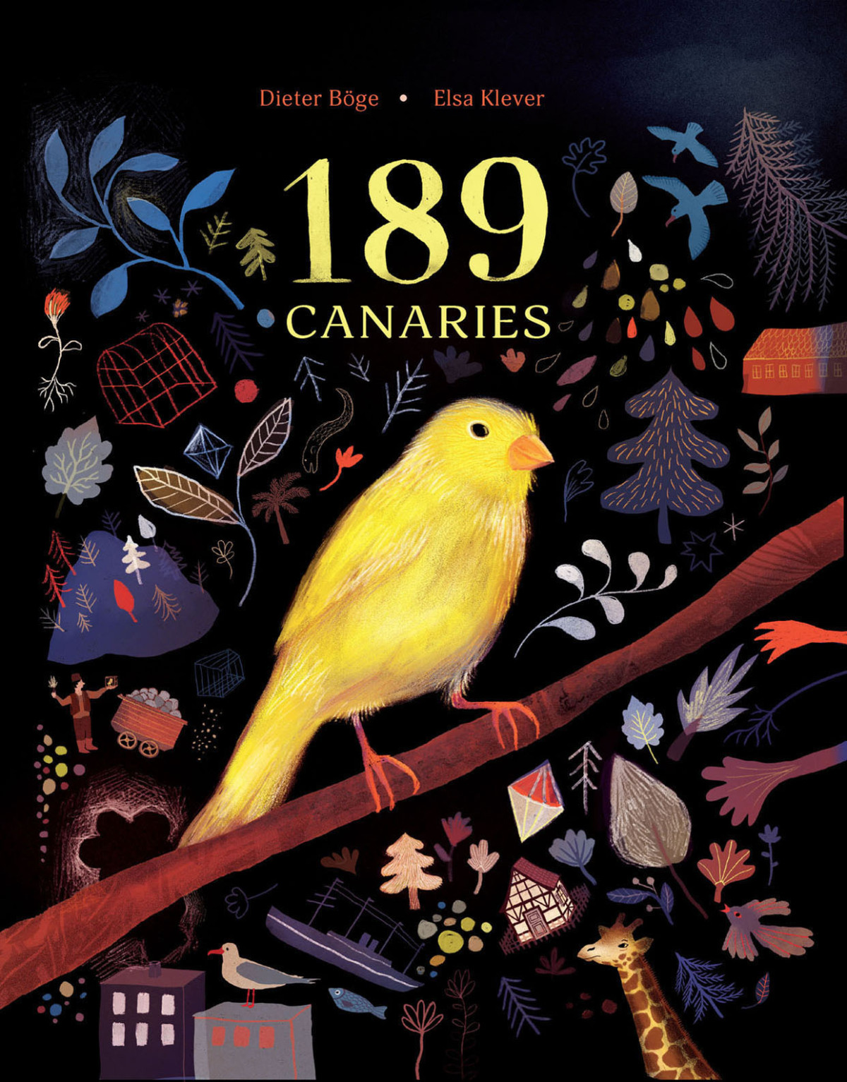 189 Canaries Dieter Bge