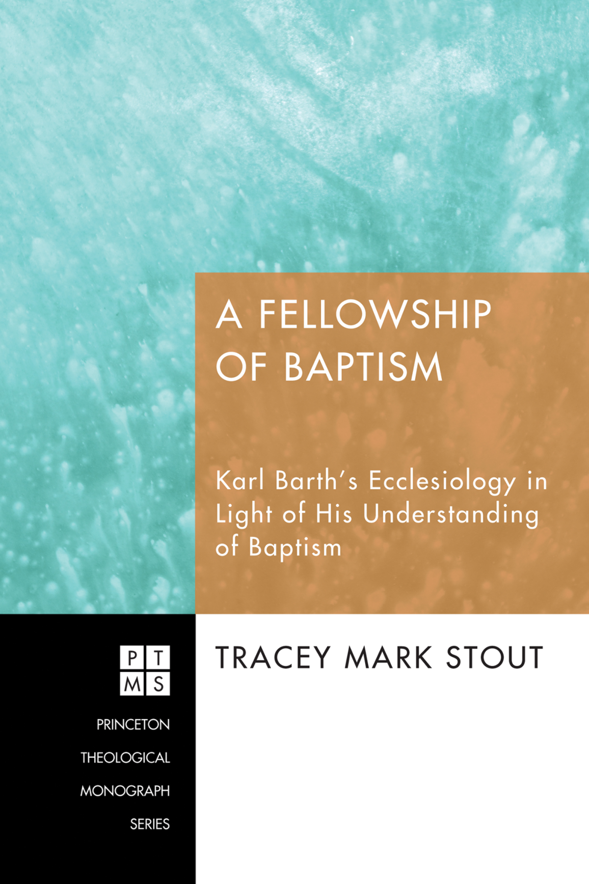 A Fellowship Of Baptism Tracey Mark Stout