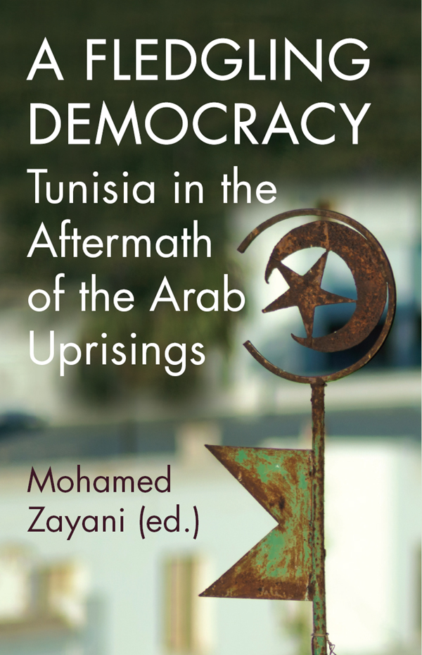 A Fledgling Democracy Mohamed Zayani