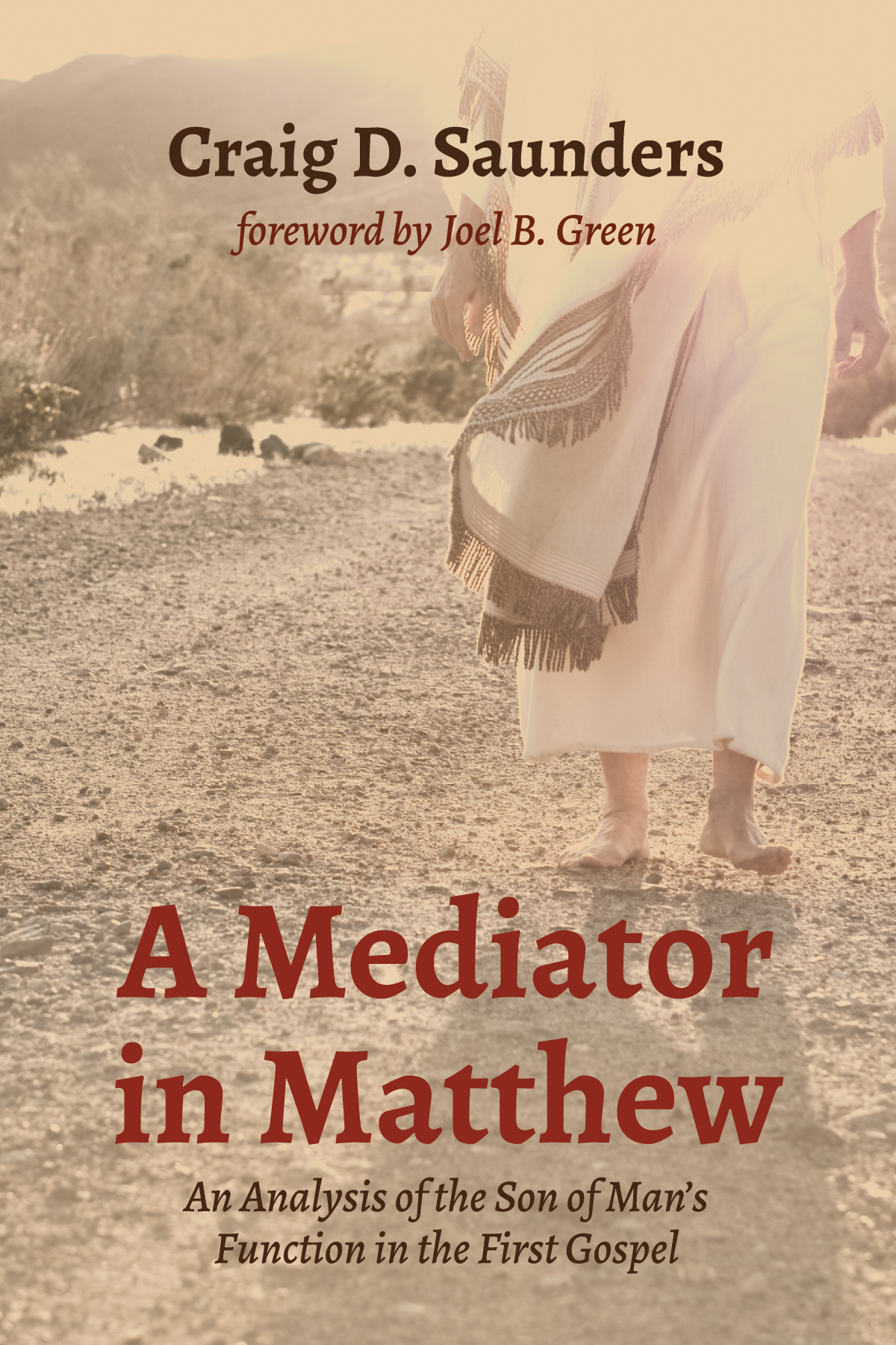 A Mediator In Matthew Craig D Saunders