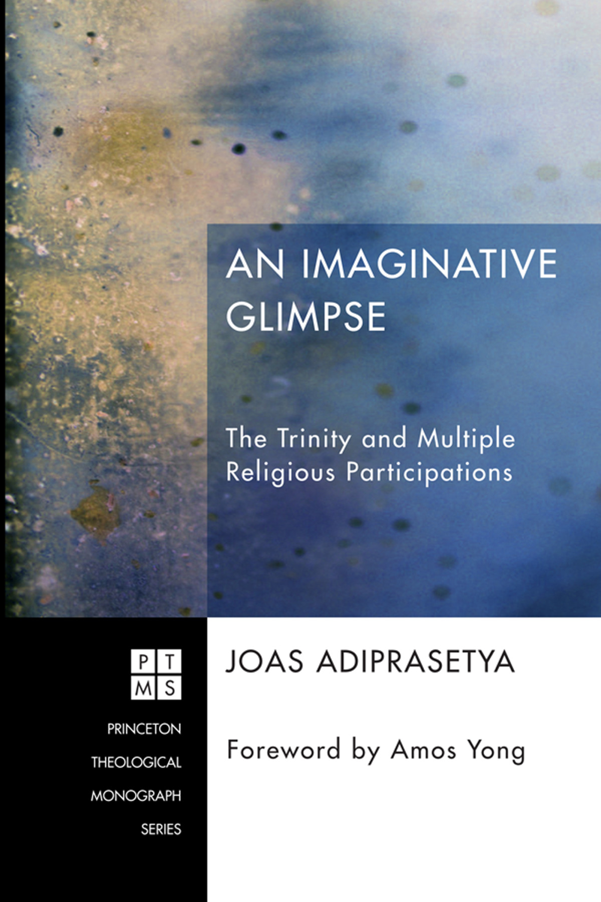An Imaginative Glimpse Joas Adiprasetya