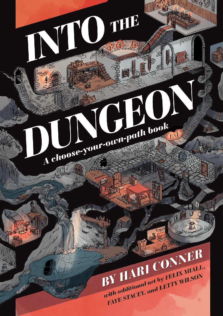 Into The Dungeon A Chooseyourownpath Book 1st Edition Hari Conner