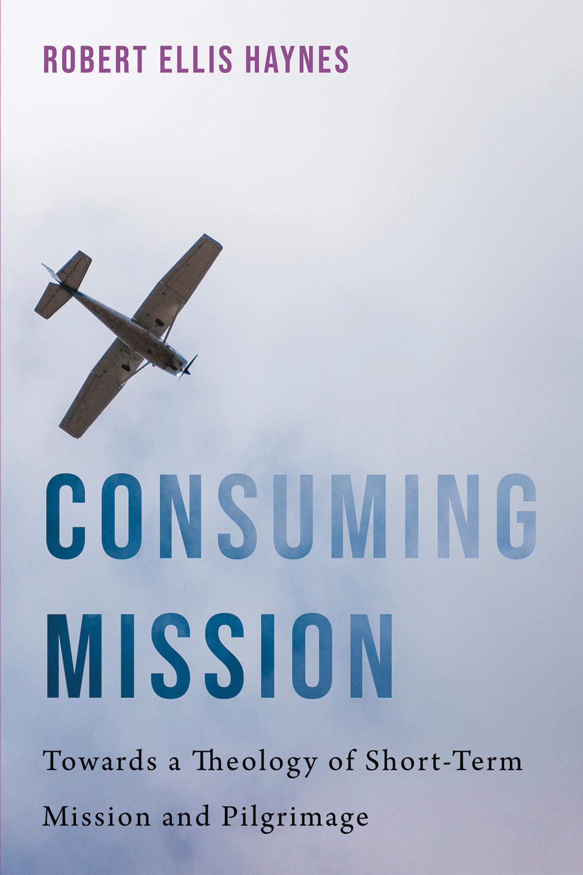 Consuming Mission Robert Ellis Haynes