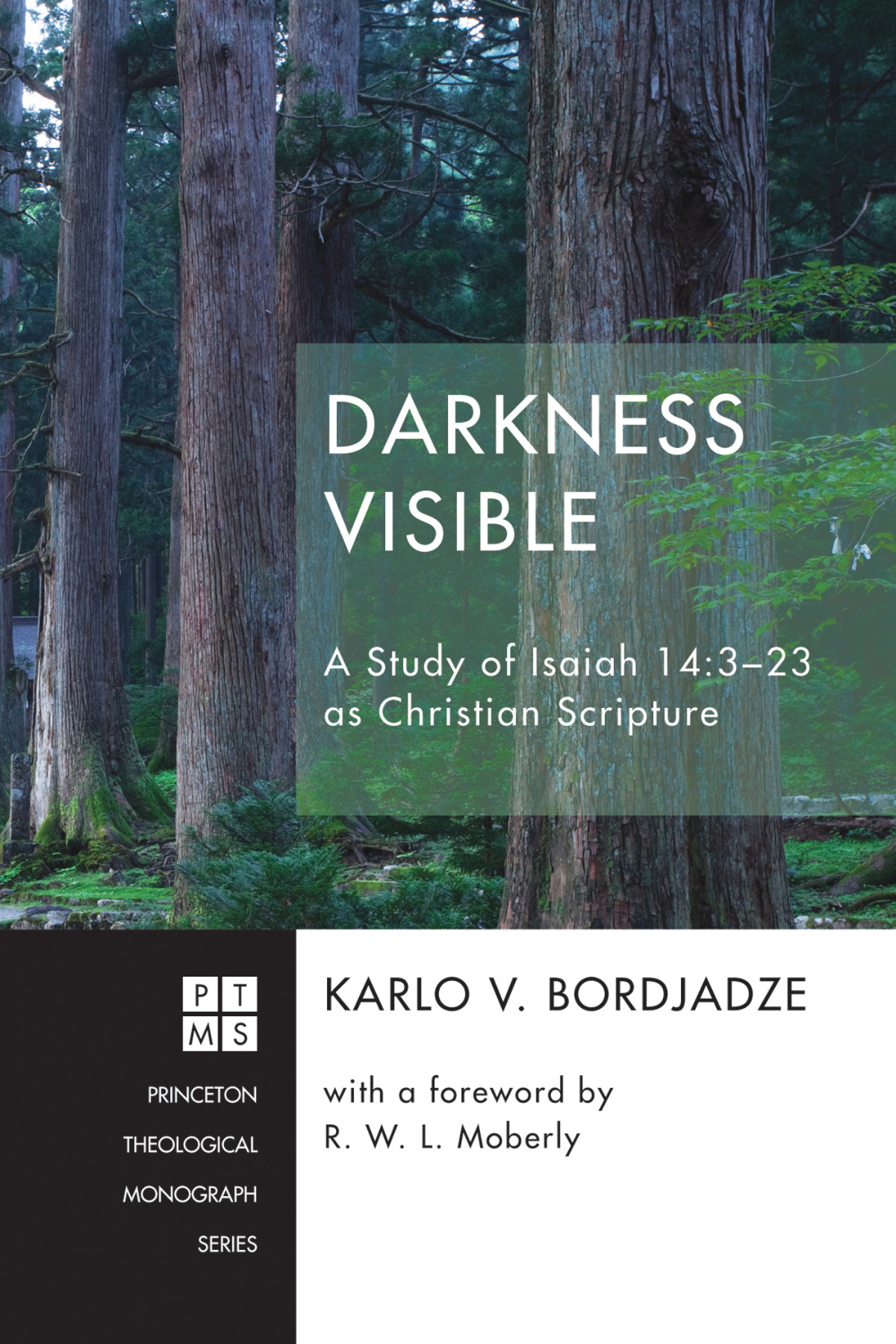 Darkness Visible Karlo V Bordjadze