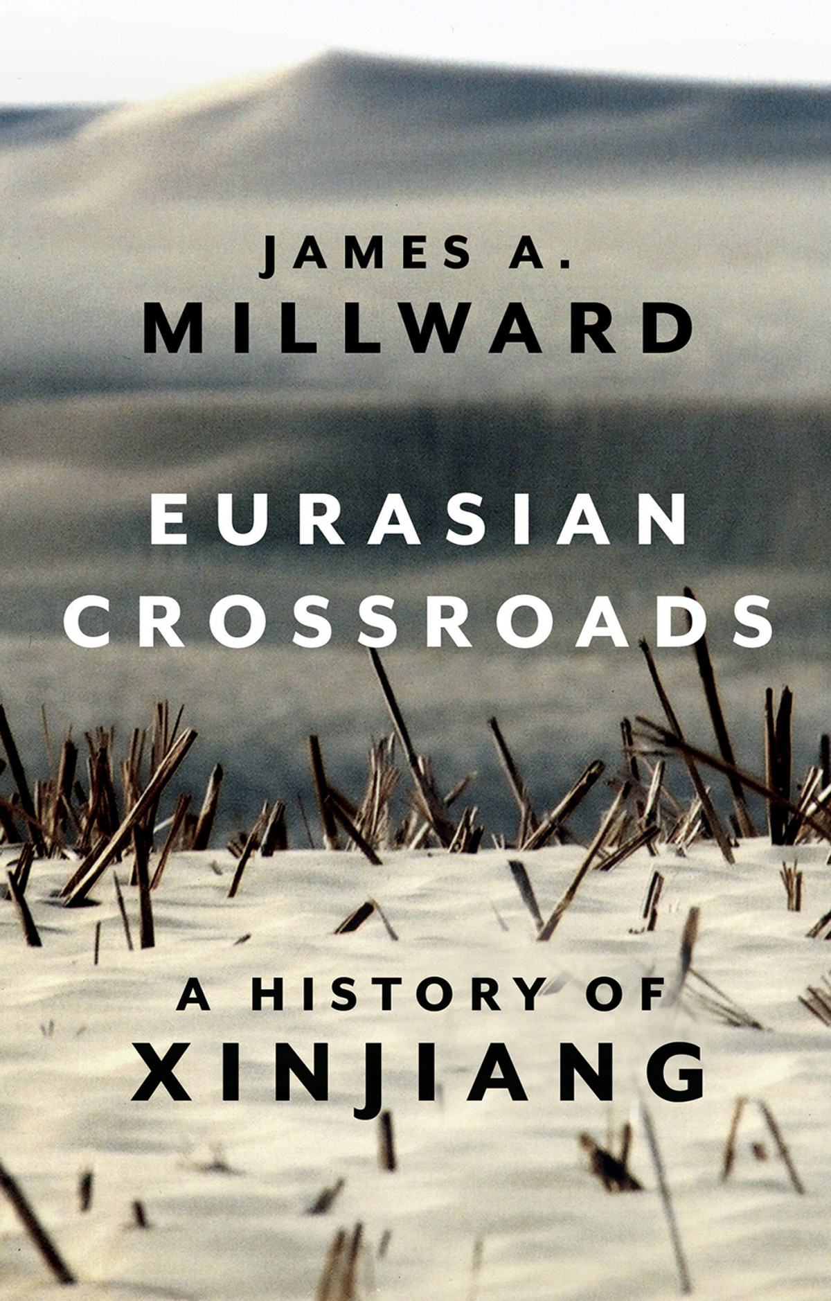Eurasian Crossroads James A Millward