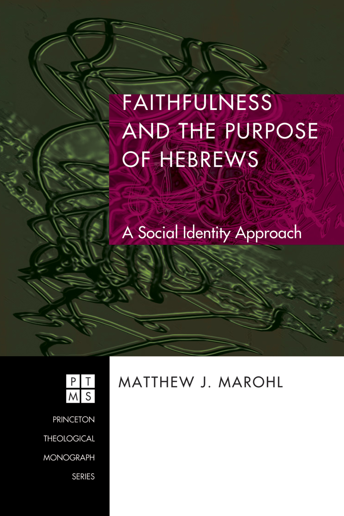 Faithfulness And The Purpose Of Hebrews Matthew J Marohl