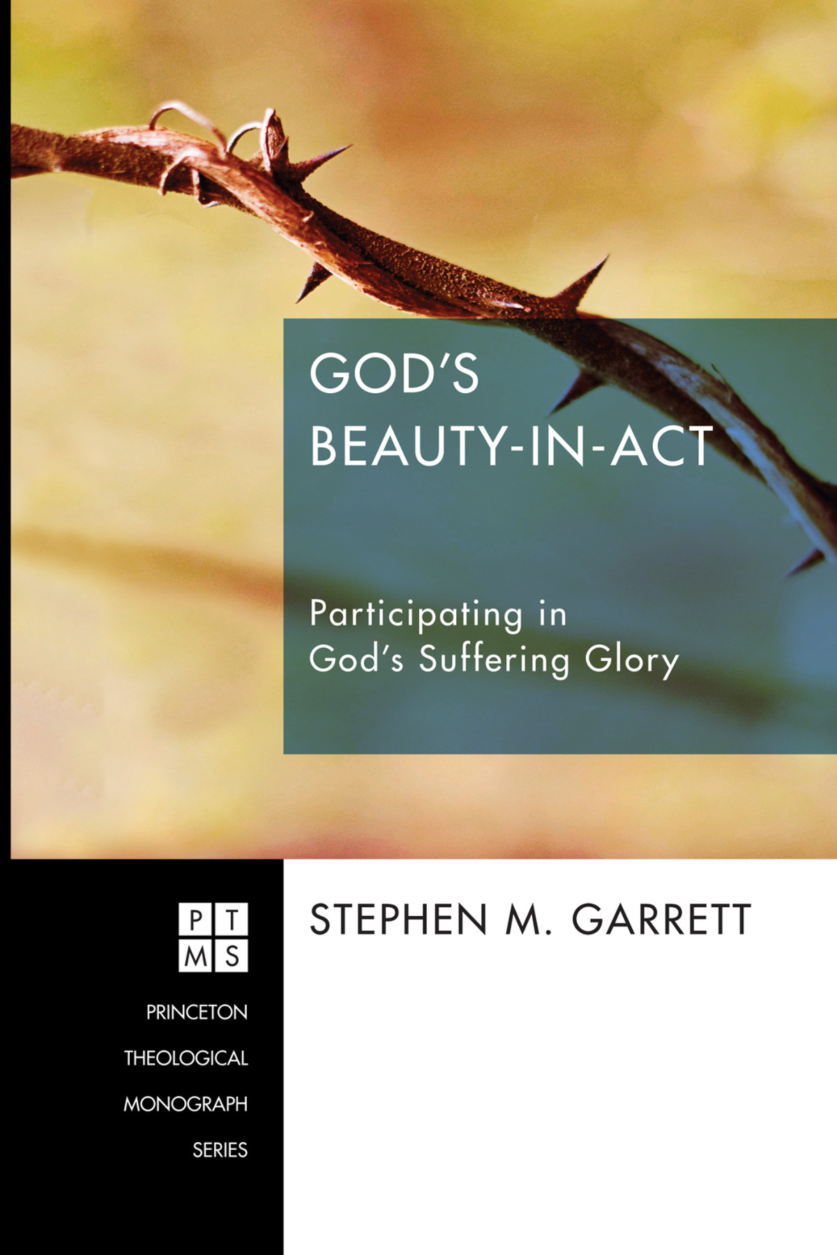 Gods Beautyinact Stephen M Garrett