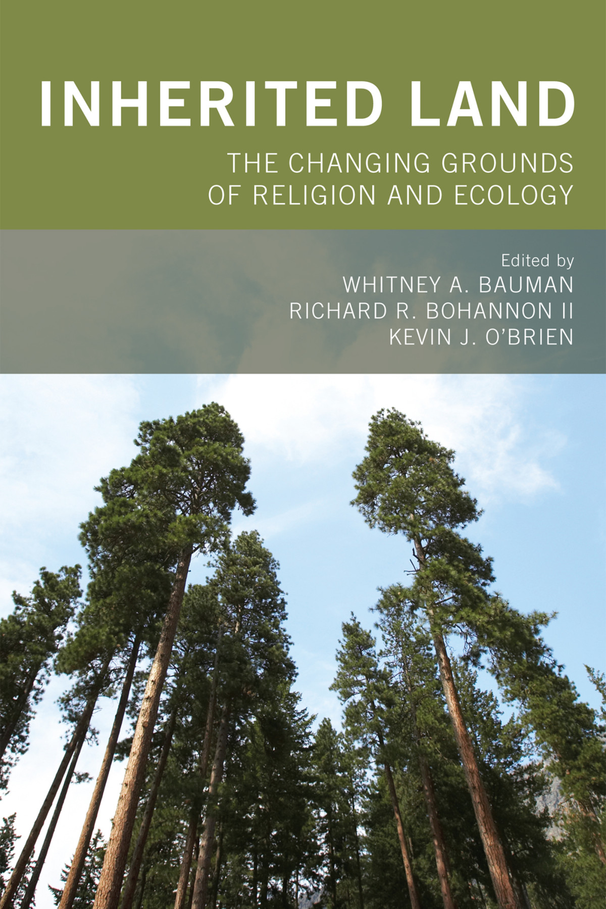 Inherited Land Whitney A Baumanrichard R Bohannon Iikevin J Obrien