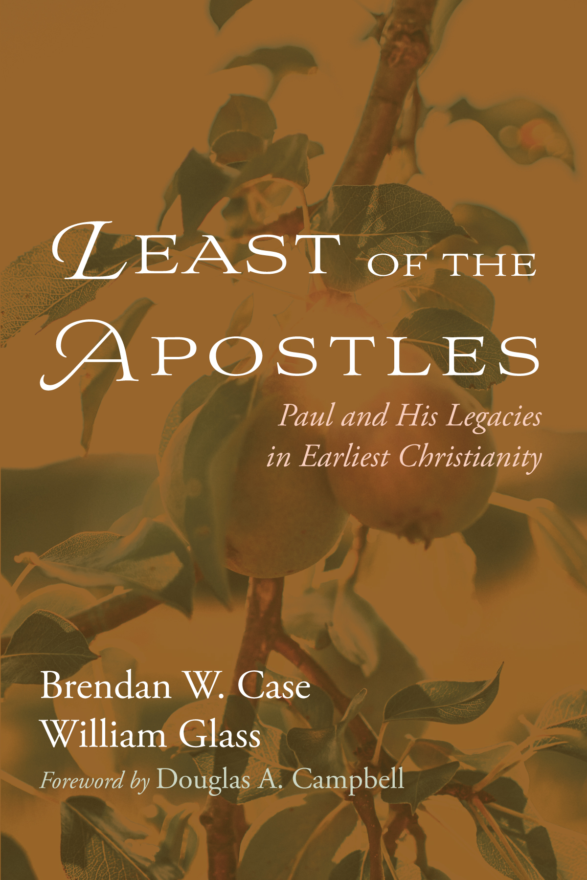 Least Of The Apostles Brendan W Casewilliam Glass