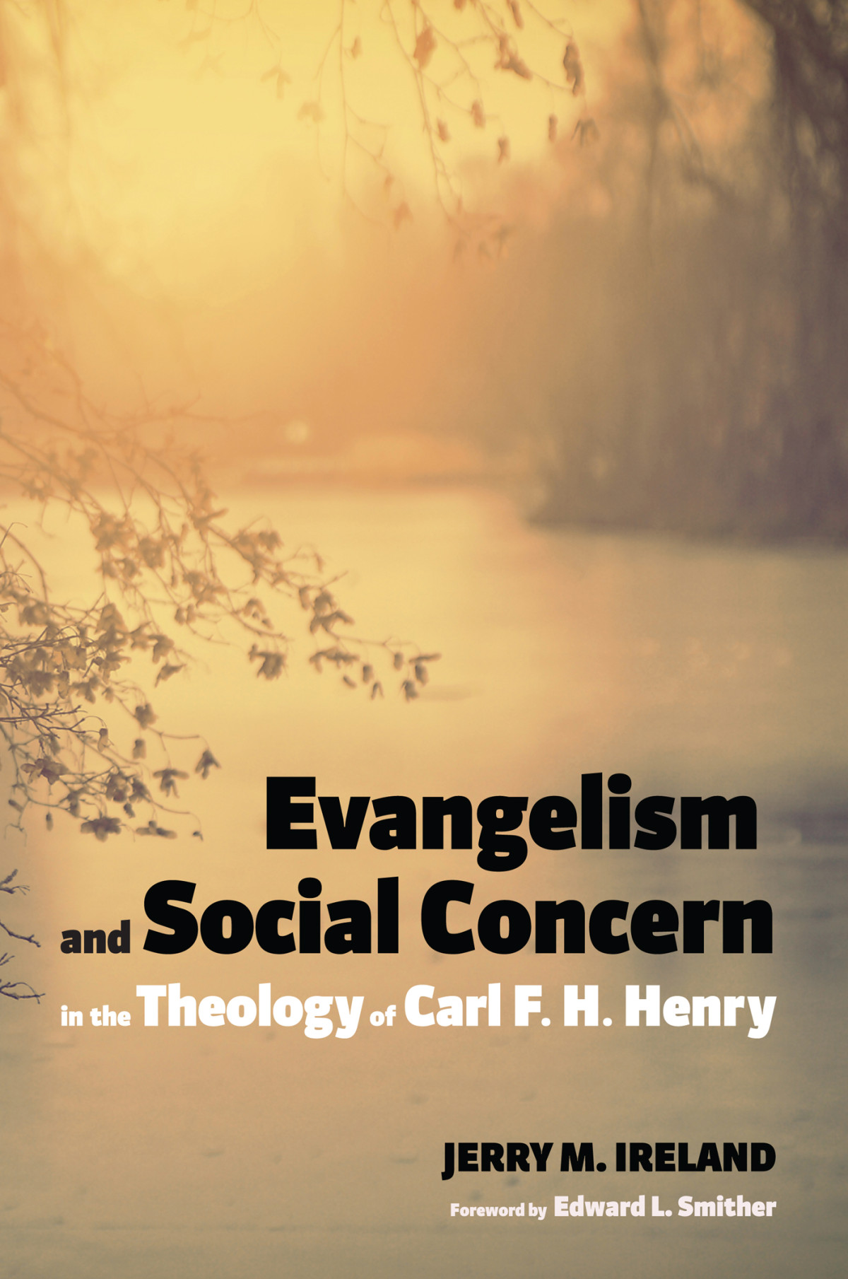 Evangelism And Social Concern In The Theology Of Carl F H Henry Jerry M Ireland