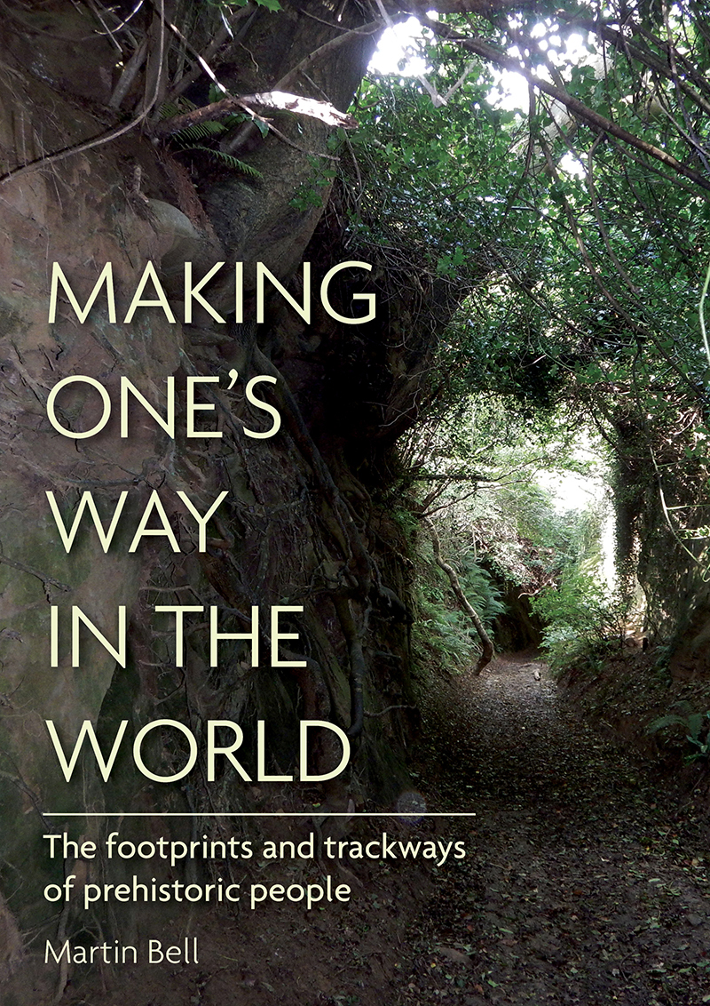 Making Ones Way In The World Martin Bell